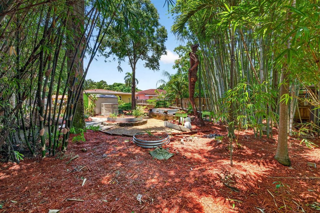 81-web-or-mls-699A2234