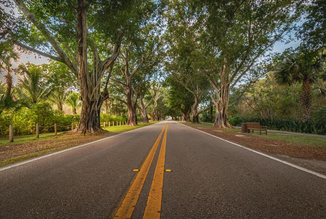 Bridge Road 2
