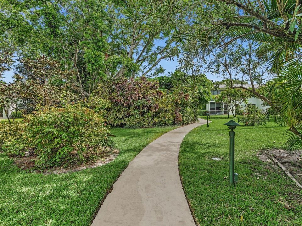 Walking Trail