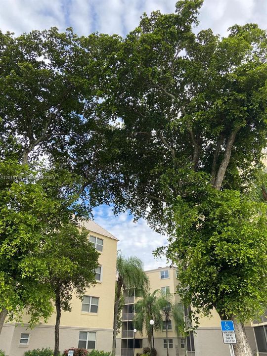 For Rent: $1,980 (1 beds, 1 baths, 810 Square Feet)