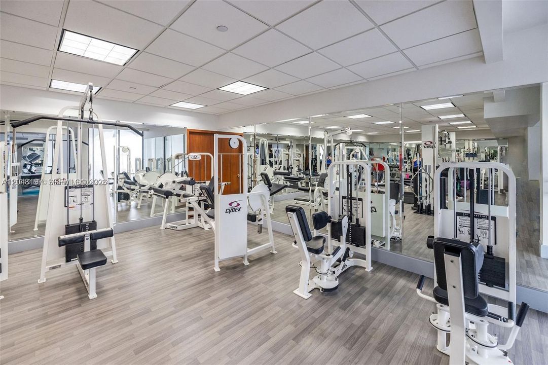 Activo con contrato: $4,500 (2 camas, 2 baños, 1677 Pies cuadrados)