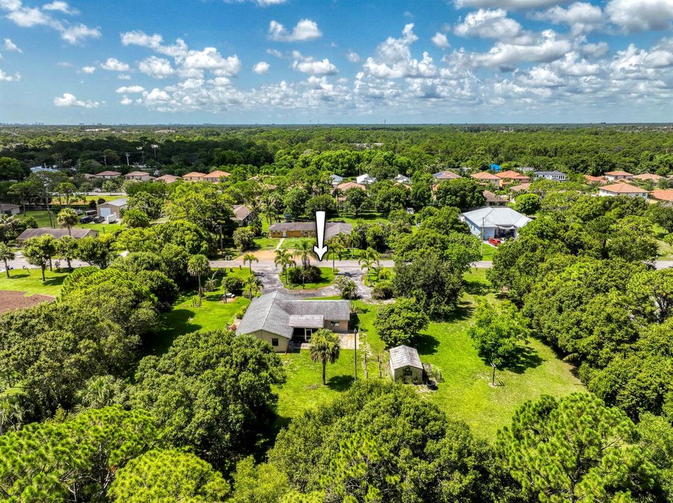 DJI_0490