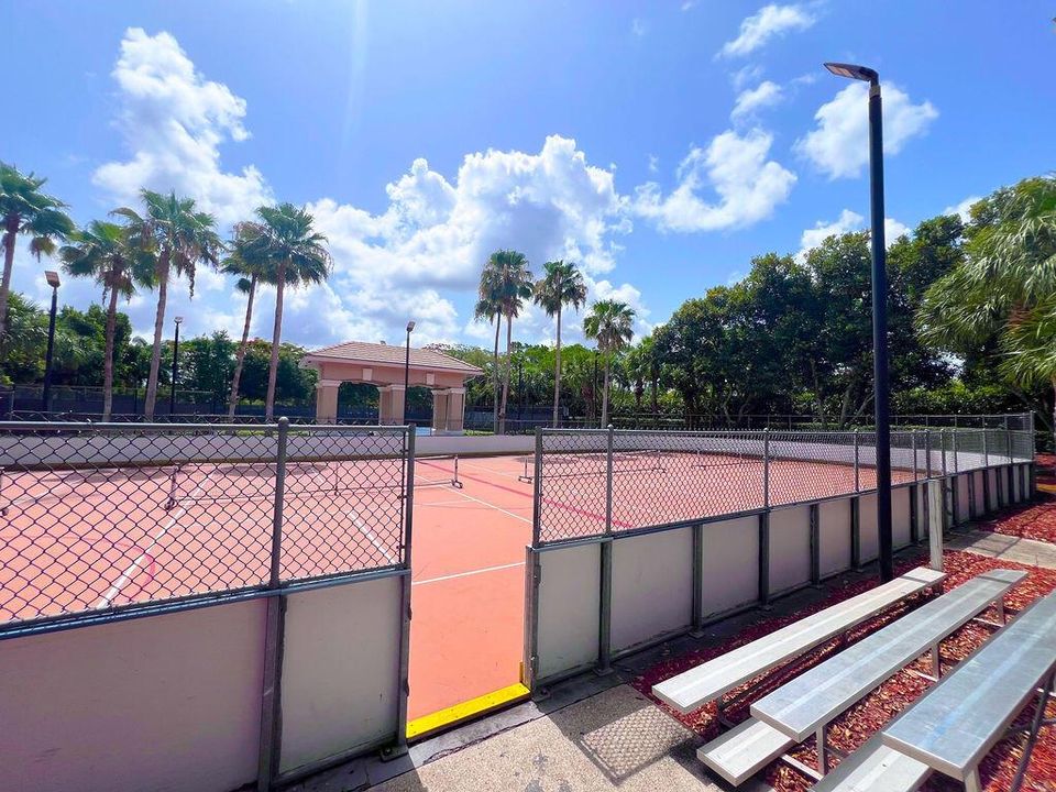 IMG_9512