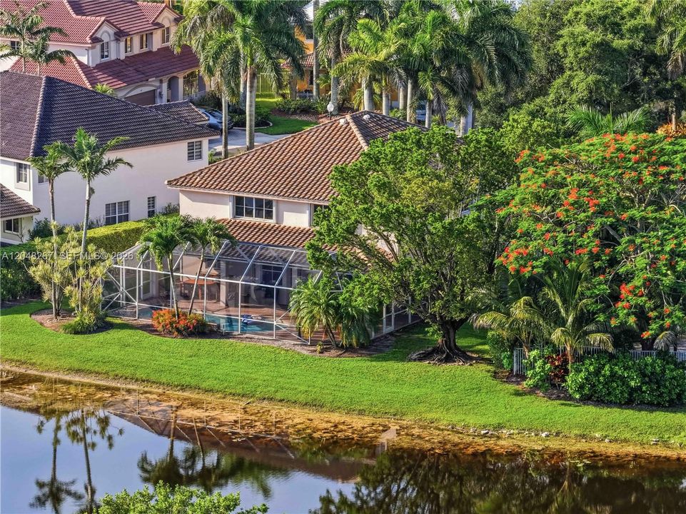 Lush greenery.