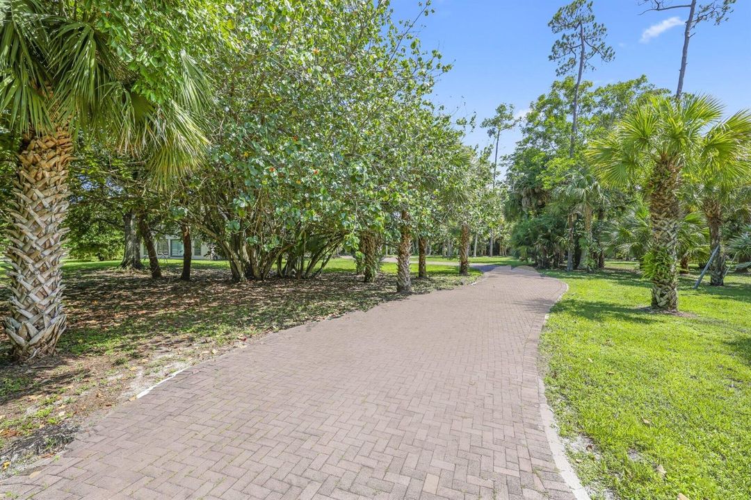 front entry driveway.