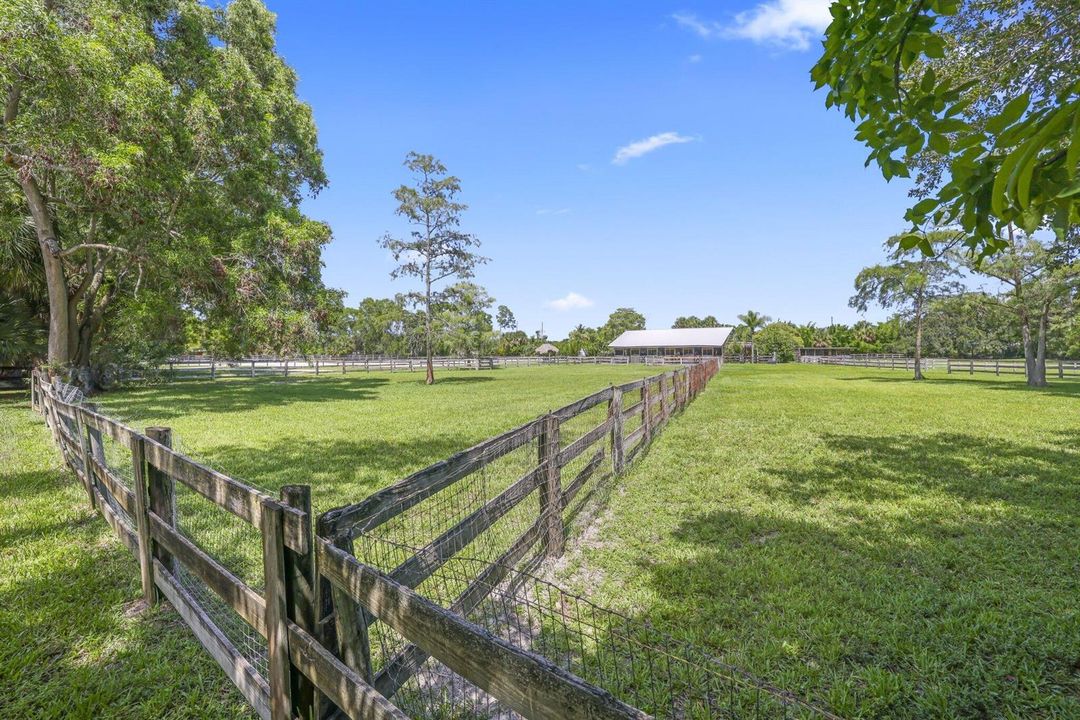 Grass turnout pastures