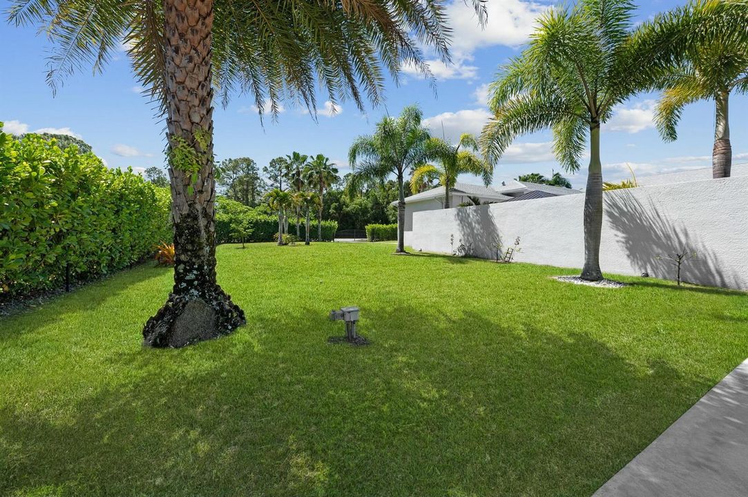 Yard