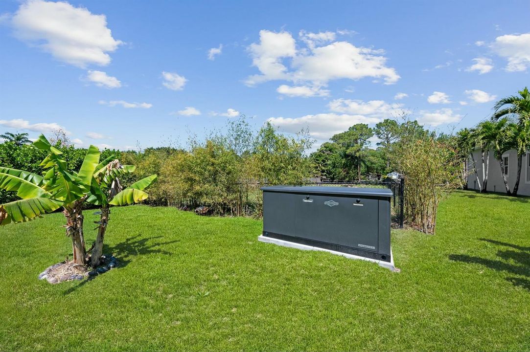 Briggs and Stranton Generator