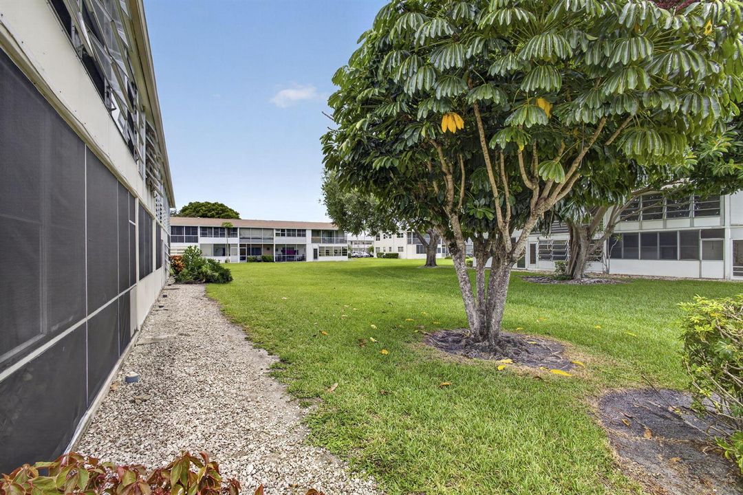 42-web-or-mls-BS1A5698