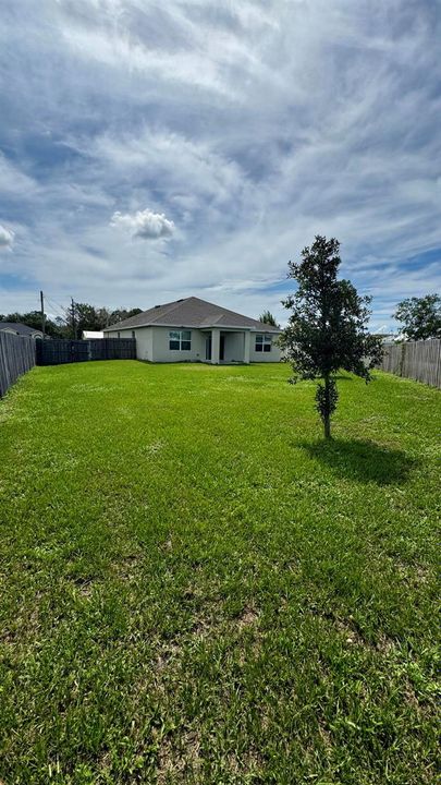 Fenced Backyard