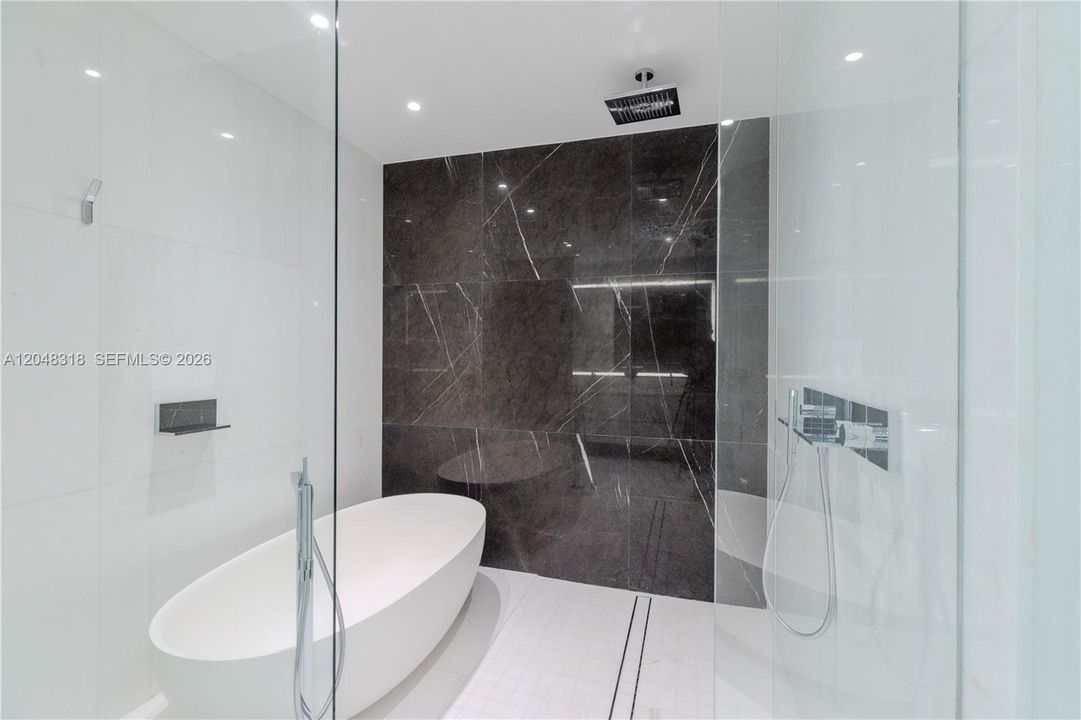 Primary Shower / Tub