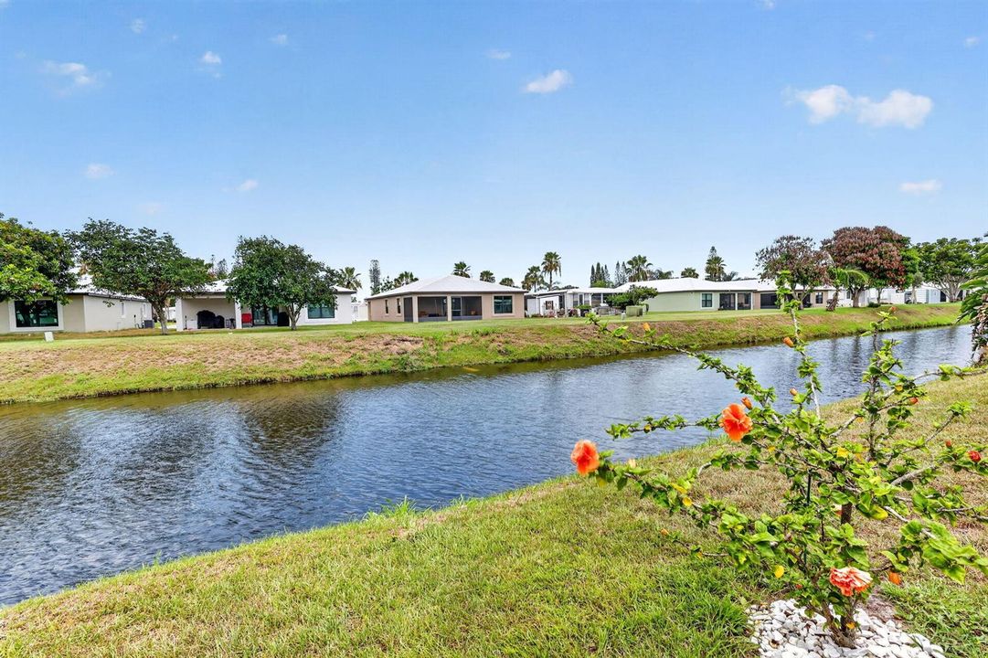 34-web-or-mls-5P1A4533