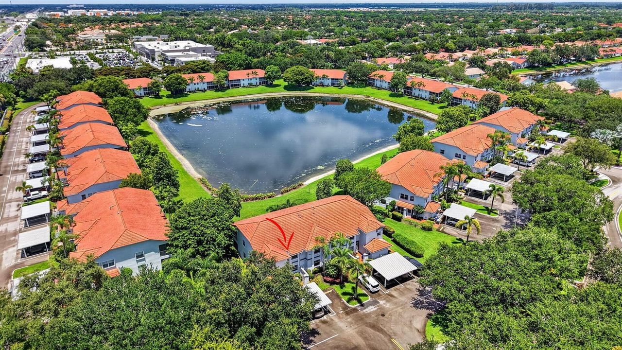 Lake Views