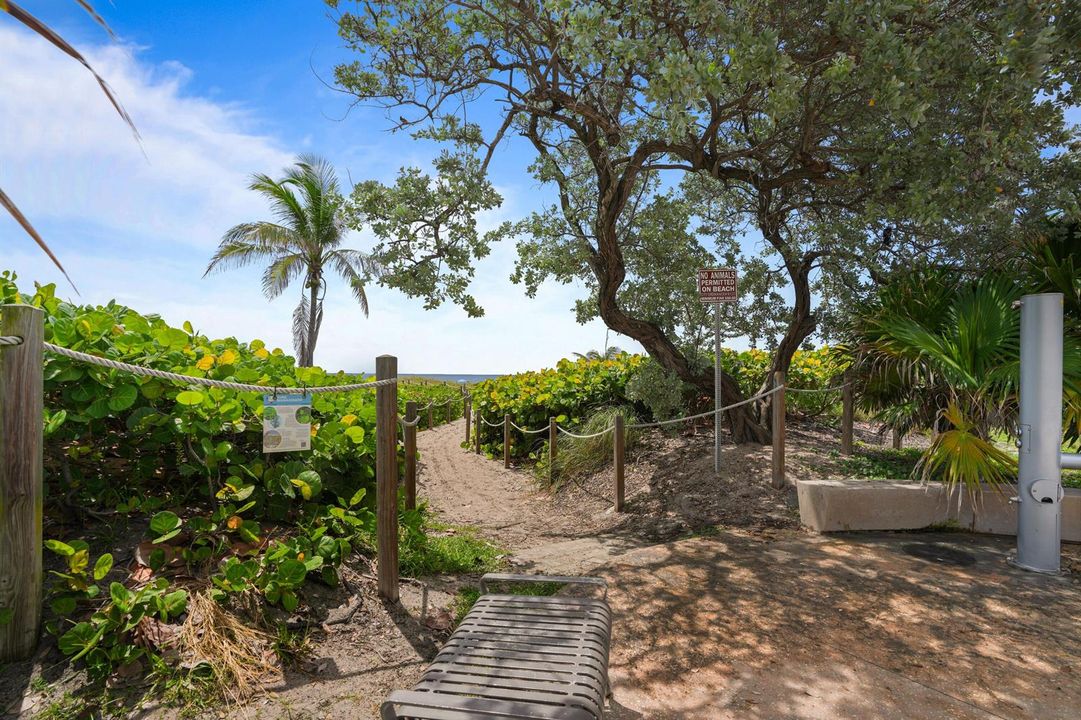 Beach Access