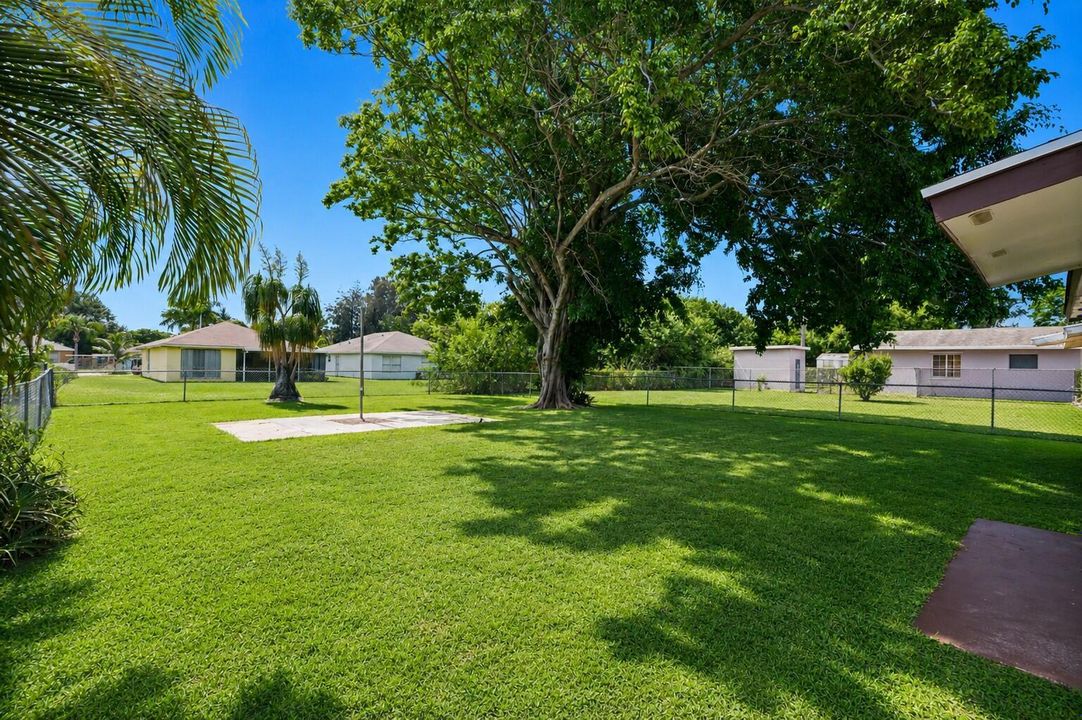 Backyard