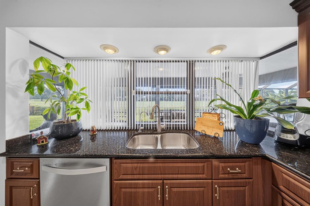 Kitchen Sink - Window
