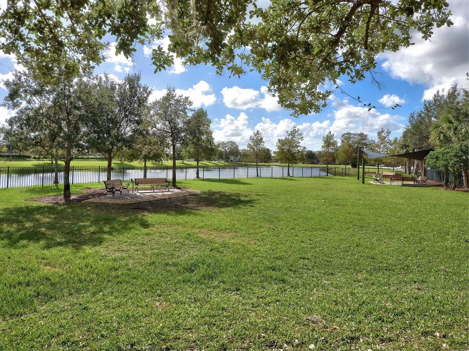29 - Dog Park
