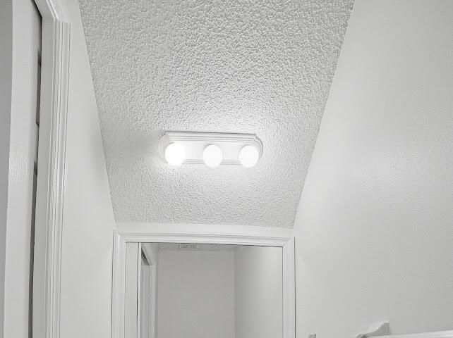 IMG_1093