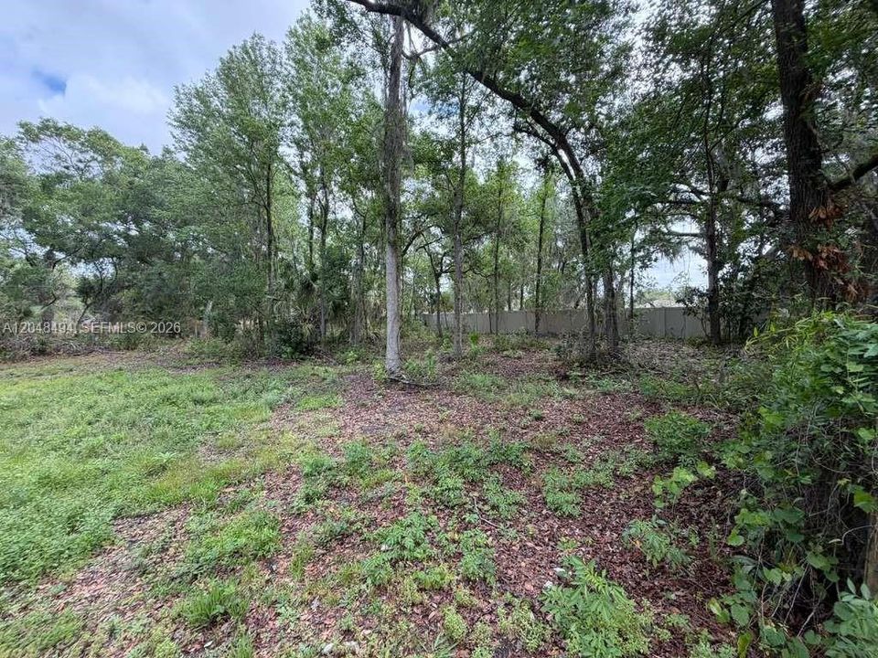 For Sale: $250,000 (1.53 acres)