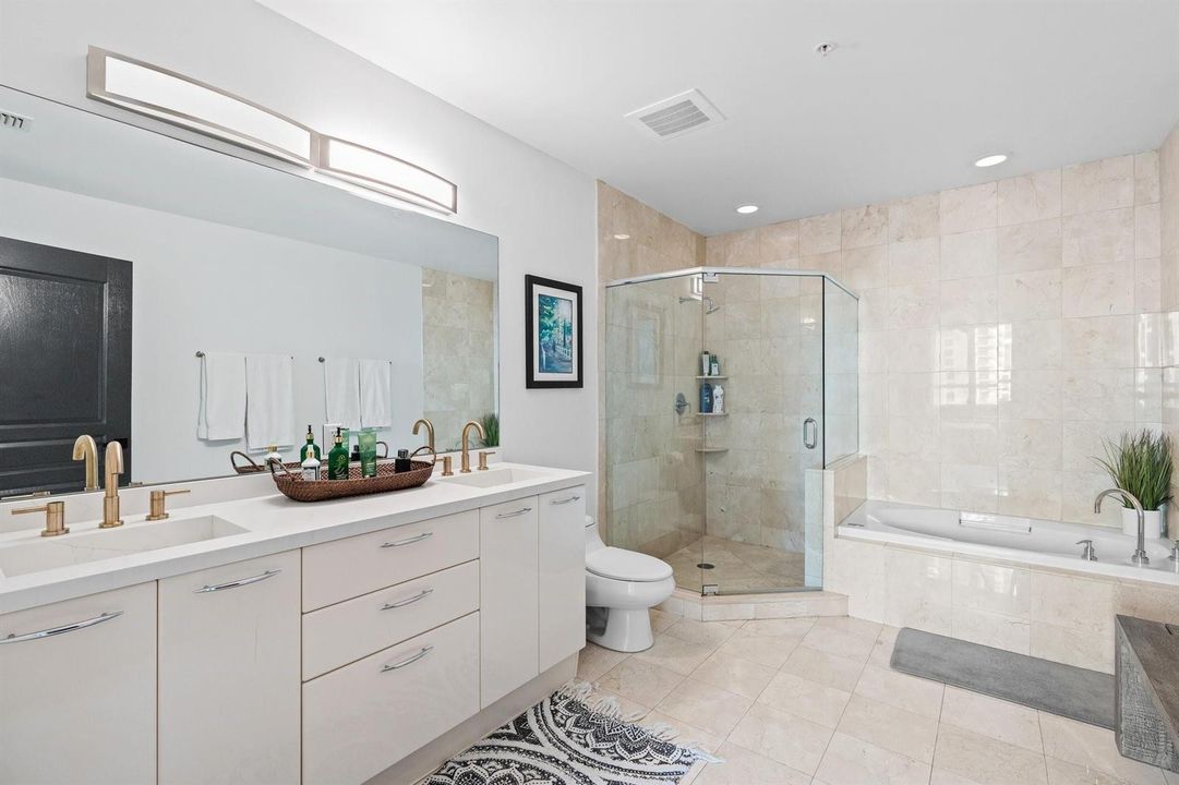 Dual Sink - Shower & Tub