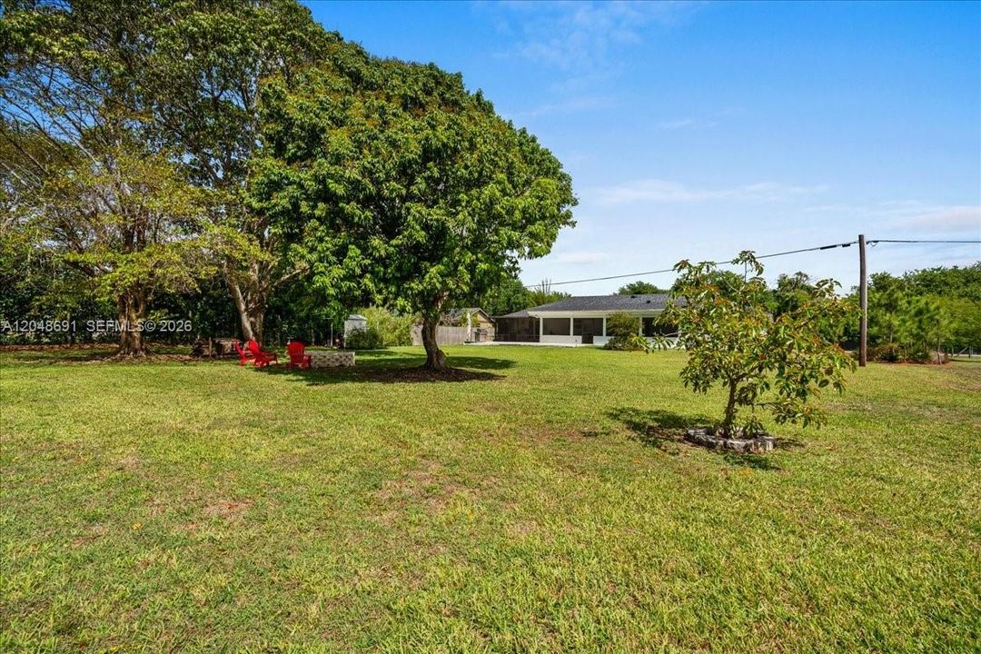 Back Yard
