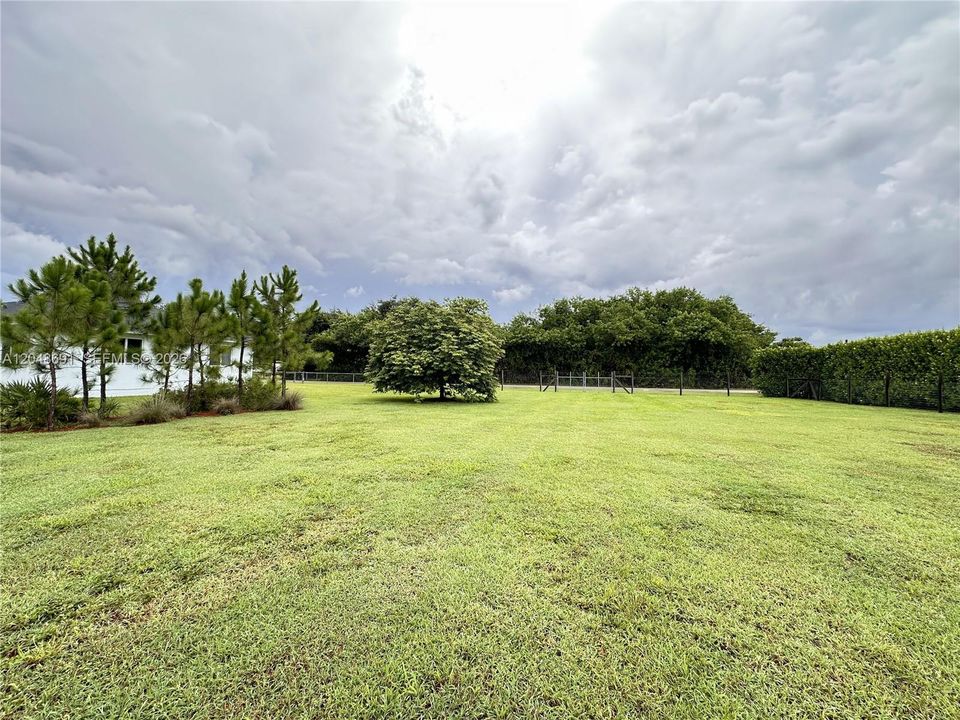 East Side Yard