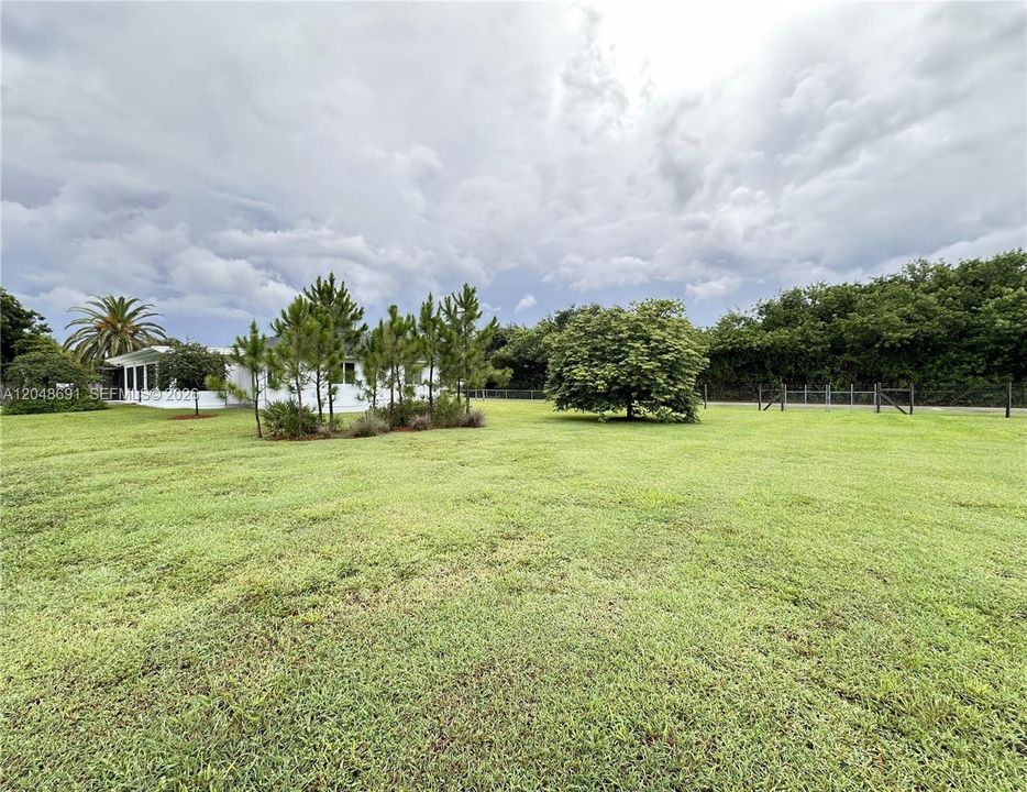 East Side of Yard