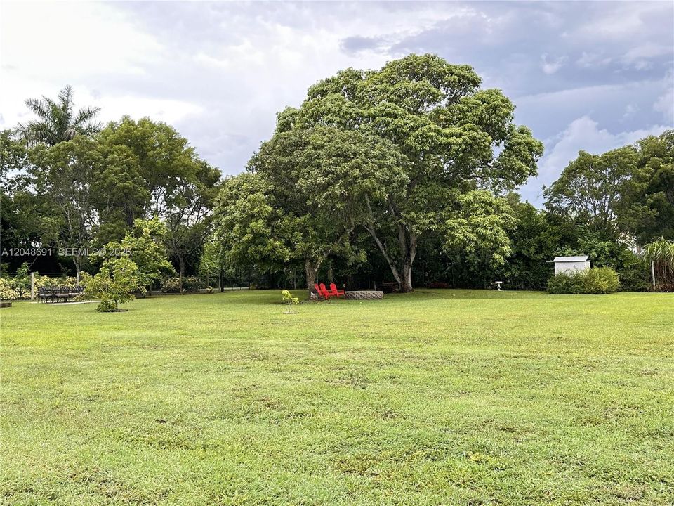 Back Yard