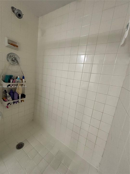 Guest bath with shower