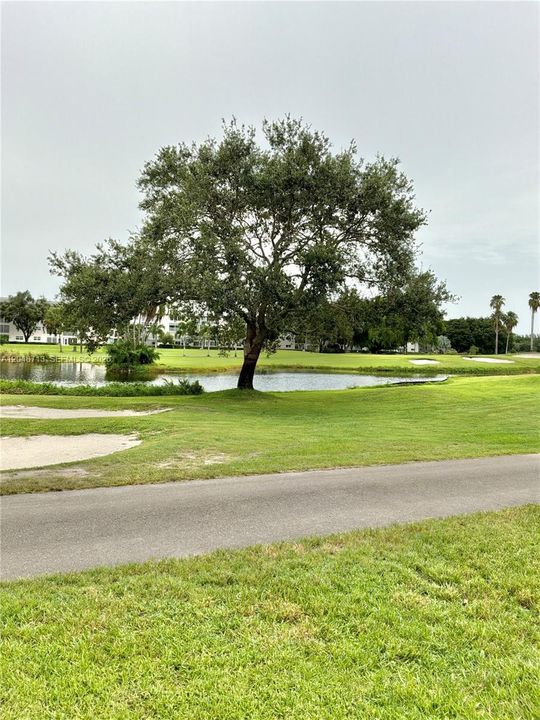 Golf course