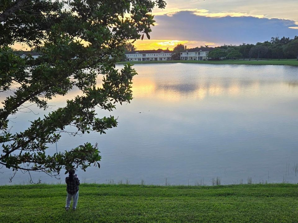 Sunset View