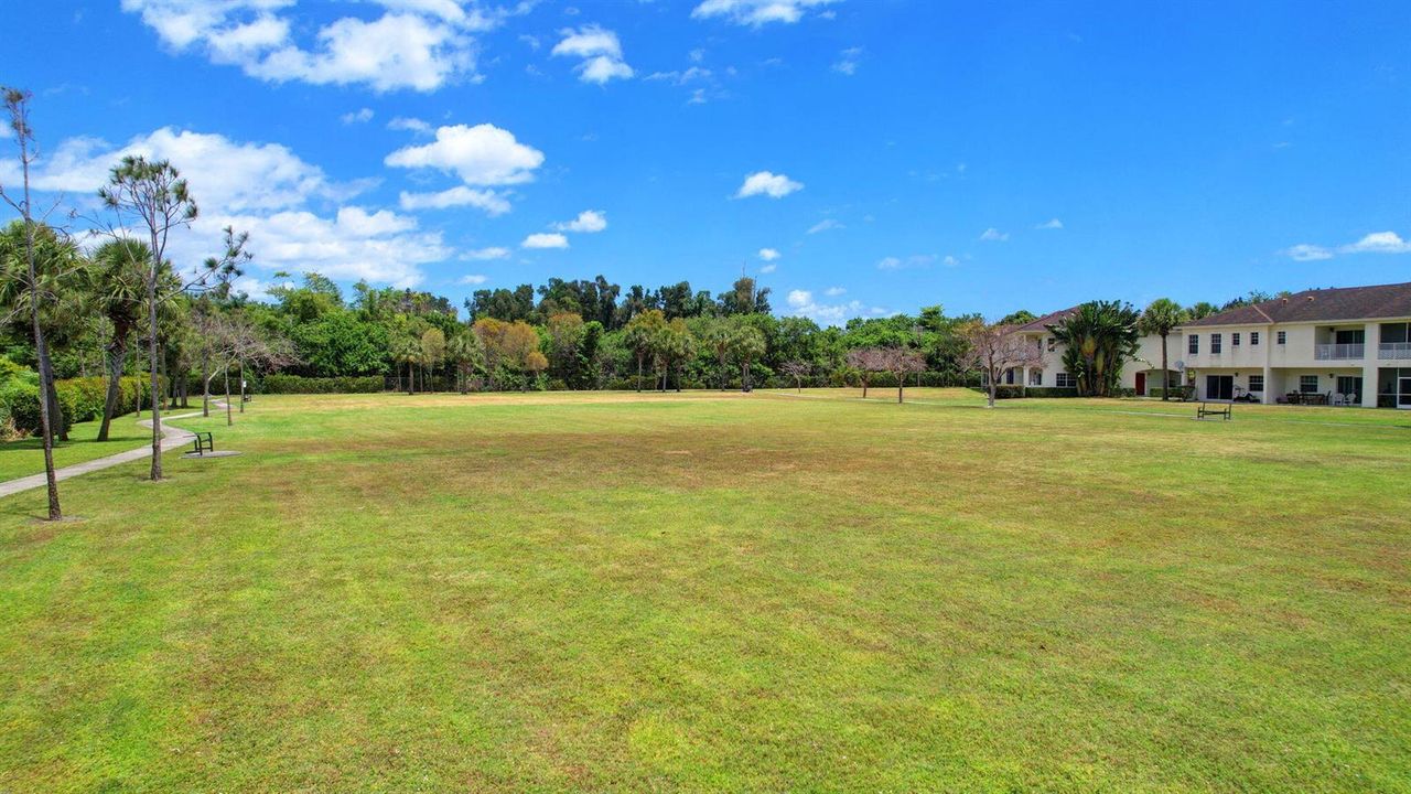 69-web-or-mls-Emerald Vista (5)