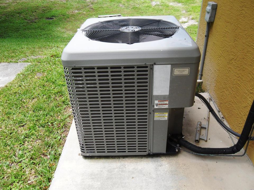 Dynasty 5022 (3)