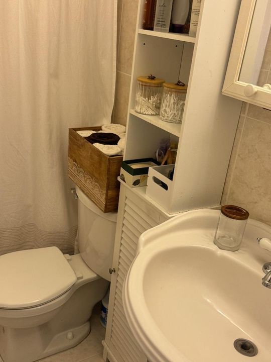 toilet2