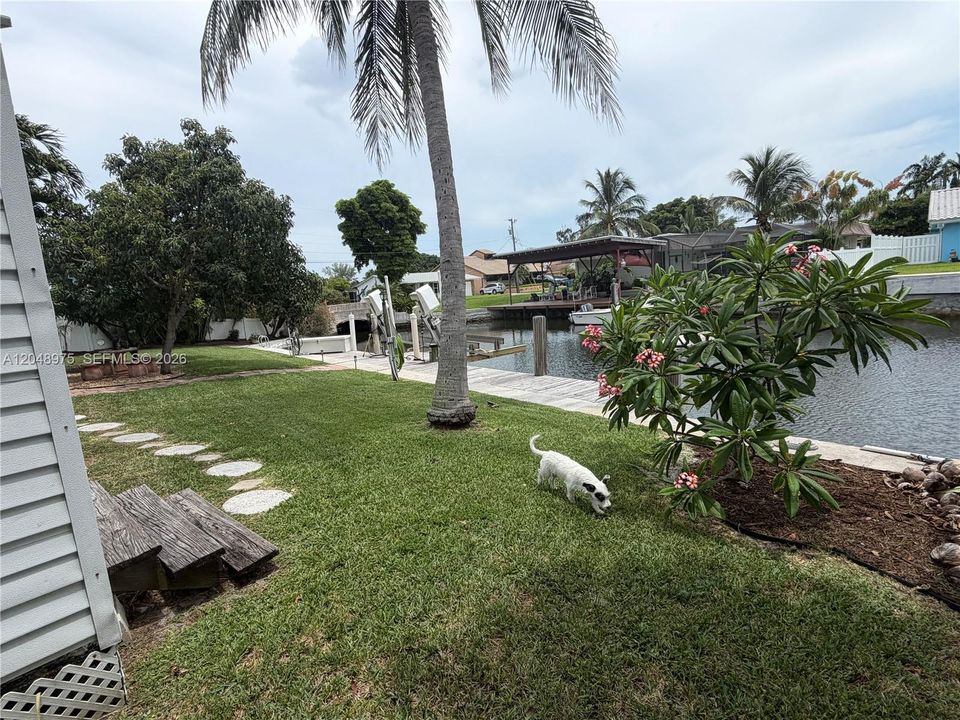 Extra Large Property is 1.5 Lots!