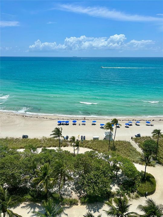 For Sale: $975,000 (1 beds, 1 baths, 896 Square Feet)