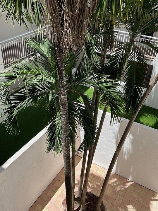 internal atrium