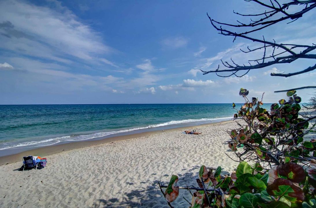 Beach.JPG