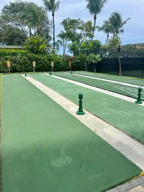 Shuffleboard
