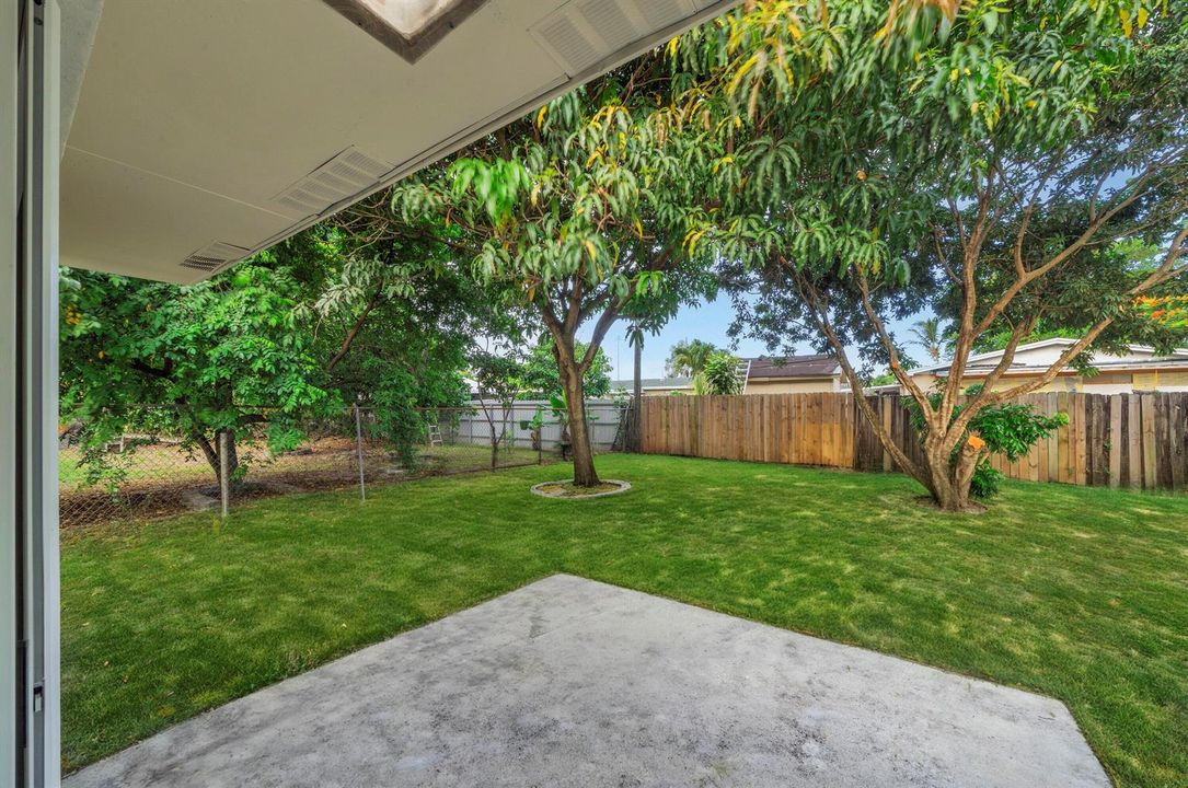 6 Backyard (1)