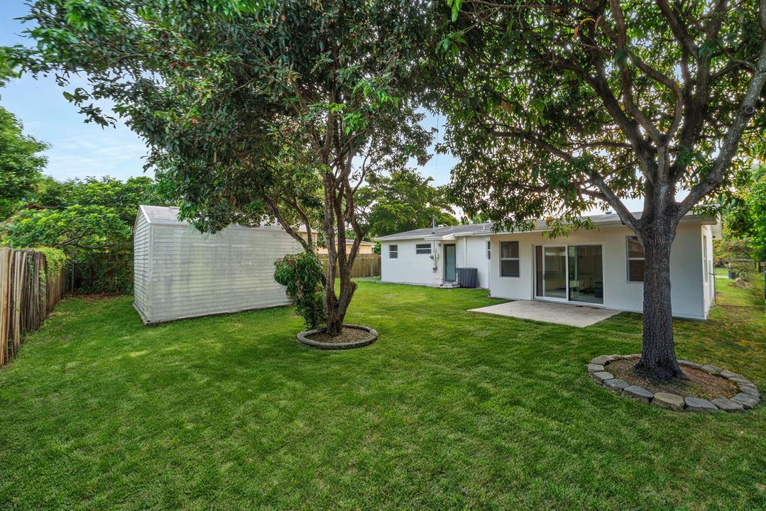 6 Backyard (2)