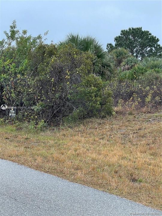 待售: $40,000 (0.23 acres)