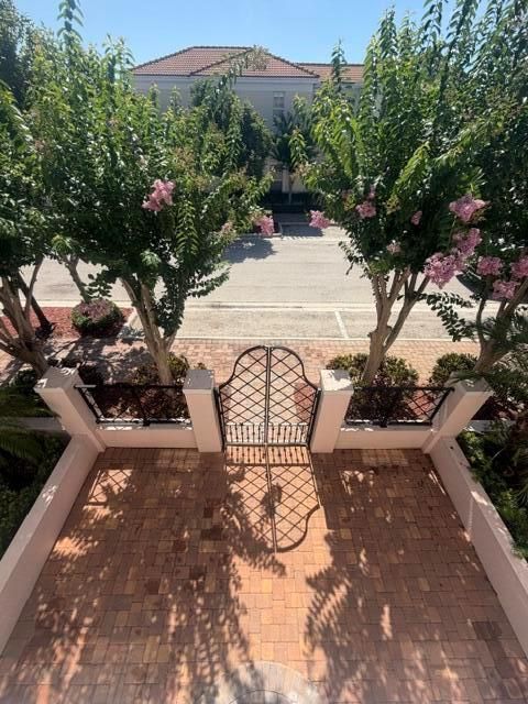 IMG_0874