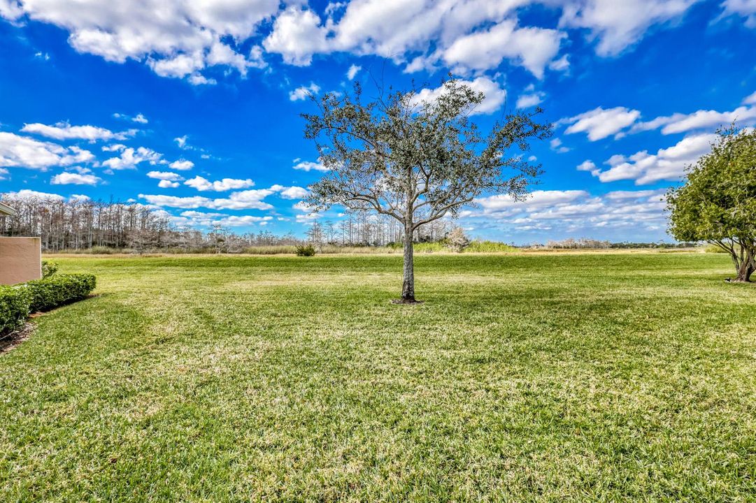 Green Space