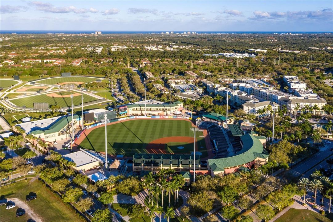 Roger-Dean-stadium