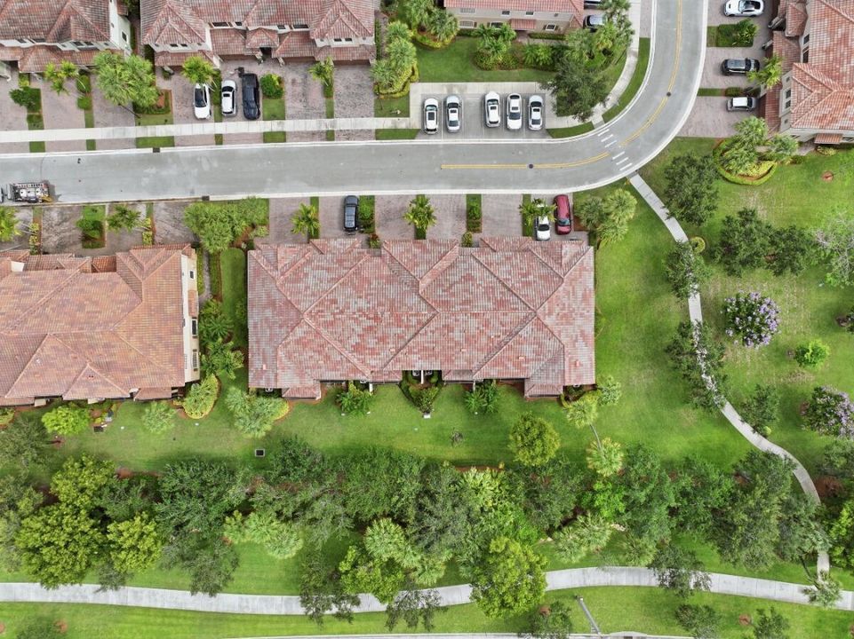 042_DJI_20260623110113_0429_D_MLS