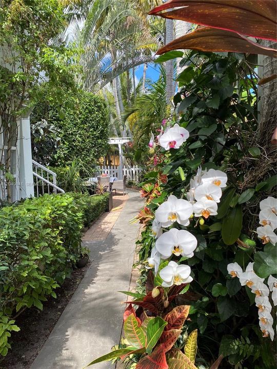 For Rent: $2,100 (1 beds, 1 baths, 557 Square Feet)