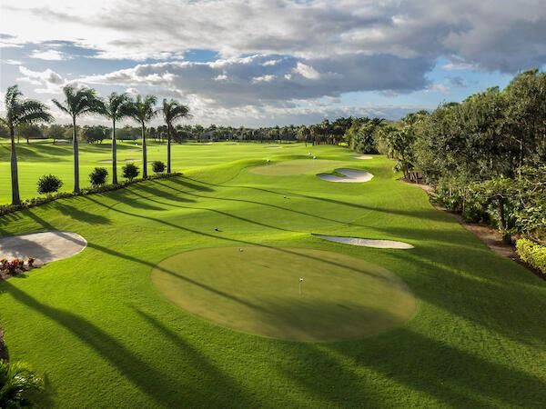 Mizner Practice Areas (1)