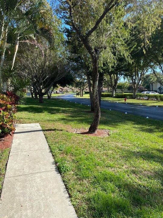 14-Sidewalk