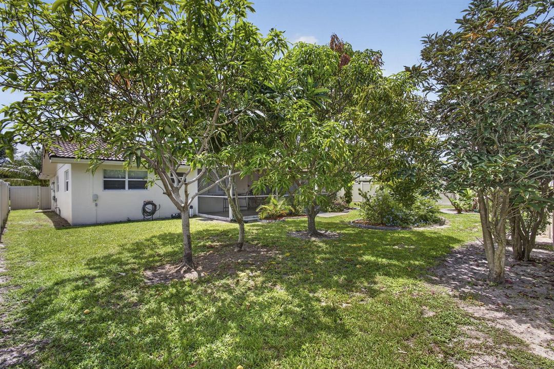 54-web-or-mls-BS1A7956